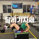 런핏트레이닝