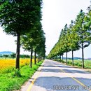 대부바다향기 테마파크 이미지