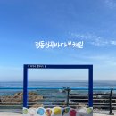 심곡공원 | 정동심곡 바다부채길 입장료 할인 소요 시간, 정동진 썬크루즈 호텔