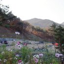 송하루 오토캠핑장 이미지