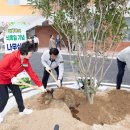 경양초교 이미지