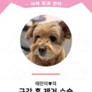 태민동물병원 이미지