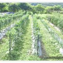 영이발관 이미지