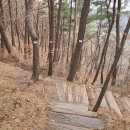 염동4 Daum카페