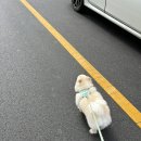 이디야커피 조촌점 | 백수의 삶....ㅎ