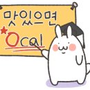 데이오브투컬러스 이미지