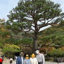 10월 마지막 주 화담숲 방문 후기 (화코스, 포토스팟, 주차 팁, 근처 맛집 추천)
