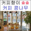 까페커피콩나무
