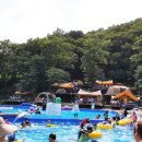 파마스힐캠핑장 네이버블로그