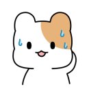 브로딕 제주 이미지