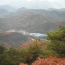 삼녕영농조합법인 Daum카페