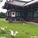 초심산방