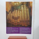 동양 행정사 사무소 이미지