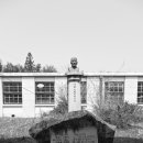 여산남초 이미지