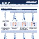 용인대 H 태권도장 이미지