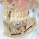 햇살좋은치과의원 이미지