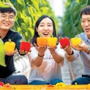 농업회사법인탐진들㈜ 이미지