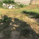 바다의 숲속 이미지