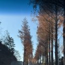 세림식당 | W.4 여수에서 상견례 후기 (광주 오르담, 세림한정식, 힐론카페)