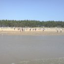 서해바다 이미지