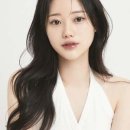 메트로아이디