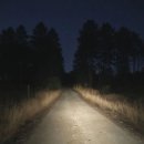 피그스토리 | 홍대 쇼룸404 PIG [피그] 현실에서 테런 할 사람 드가자 공포 스릴러 방탈출 꽃길 추천 후기