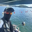 그늘막88 | 통영 선외기 낚시 후기ㅣ감성돔은 못 잡았지만 팬텀레저 만족도 최고