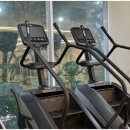 젬스톤 피트니스 이미지