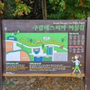 구갈레스피아 게이트볼장 네이버블로그