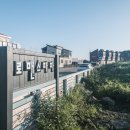 로맨스 파파 이미지