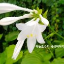 좌동산책길 이미지