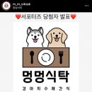 멍멍식탁 이미지