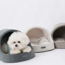 제스트하우스 이미지
