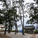 바다와숲 이미지