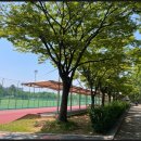 옥구공원 2주차장 이미지