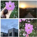 박순덕농장 이미지