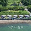 사량더블루 | 사량 더 블루 반려견 동반 시 체크할 사항