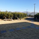 미깡낭밭 이미지