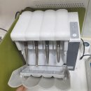 서울방치과의원 네이버블로그