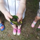 수인사유치원 이미지