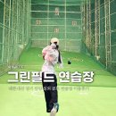 초록스크린골프클럽 | [경기 안양] 그린필드 골프연습장 드라이빙 레인지 이용 솔직후기
