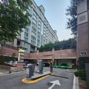 분당정자동 쌀국수 베트남음식 전문점 [몬안베띠 Monanpetit] 내돈내산 솔직후기