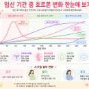 파수식품 | 임신 초기·중기·후기, 엄마와 아기는 어떻게 달라질까요?