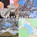 우각로99번길 4 | 경주 벚꽃마라톤 2박3일 경주 여행 추천 맛집 4월초 벚꽃 개화 포항 유채꽃