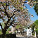 회수동-6 이미지