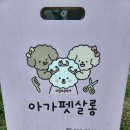 아가펫살롱 이미지