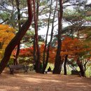 금강공원 이미지