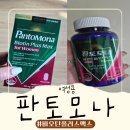머리영양제 하나로 손톱, 피부건강까지 챙기는 판토모나 비오틴 플러스 맥스 실사용후기