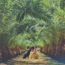 우도팬션별빛결 이미지