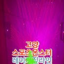 스몹고양 이미지